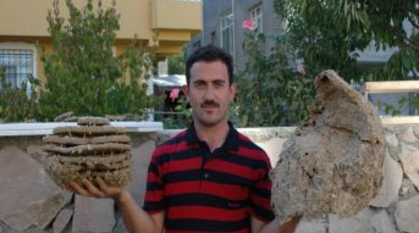 Yaban Arıların 10 Katlı Yuvası Ilgi Odağı Oldu