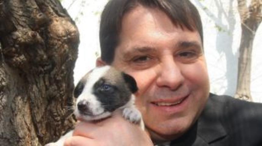 Sevimli Dostlar G&uuml;vende