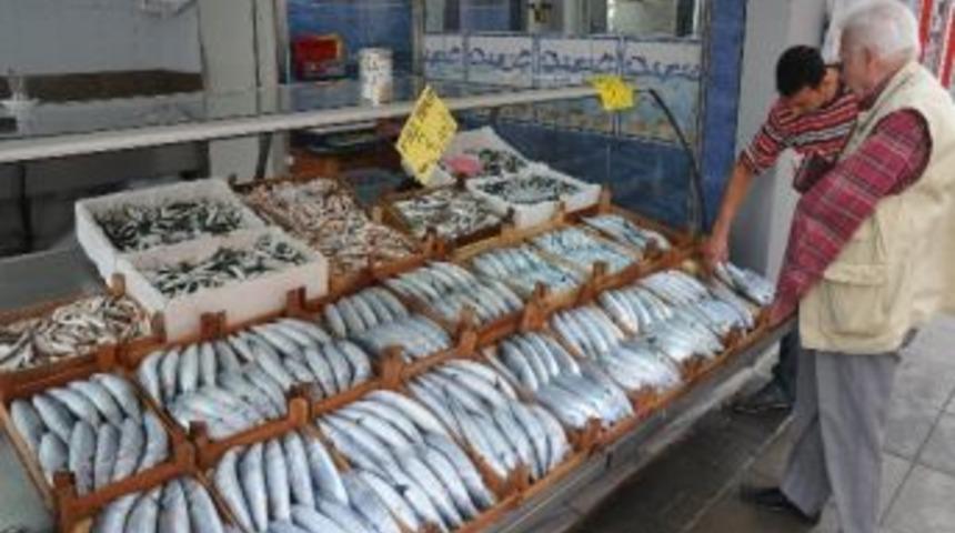 Tezgahlarda Palamut İle Hamsi Rekabet Halinde