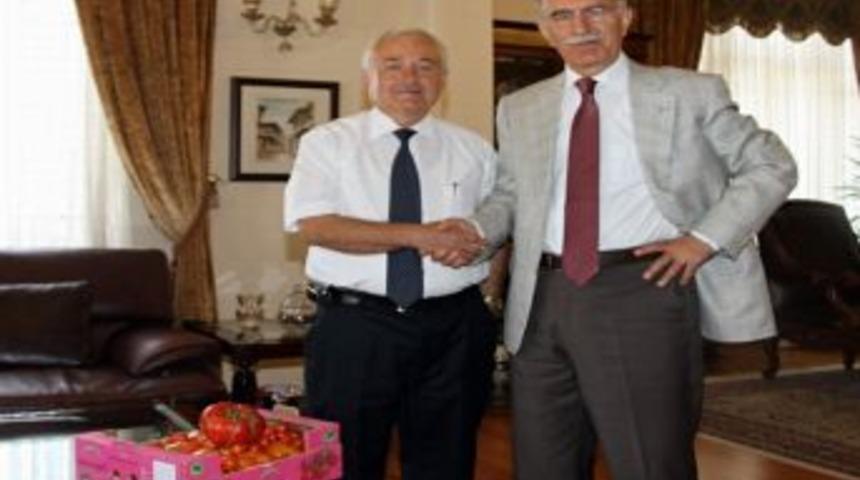 Vali Harput&rsquo;a Organik Domates Hediye Ettiler