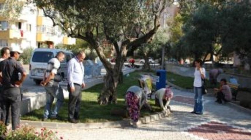 &Ccedil;amaşır Deresi Park Oldu