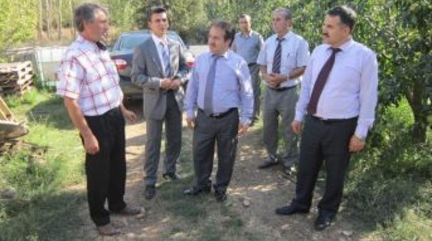 &Ccedil;an Armudu Y&uuml;zleri G&uuml;ld&uuml;rd&uuml;