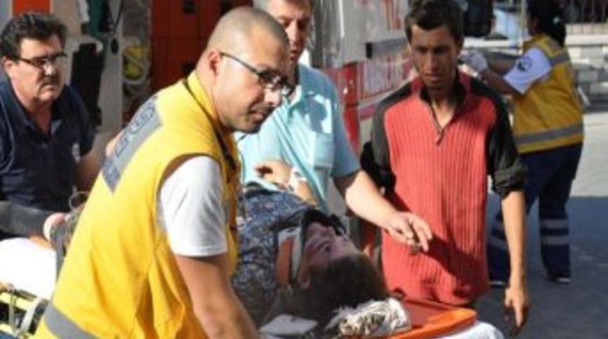 Ceviz Toplarken Canından Oluyordu