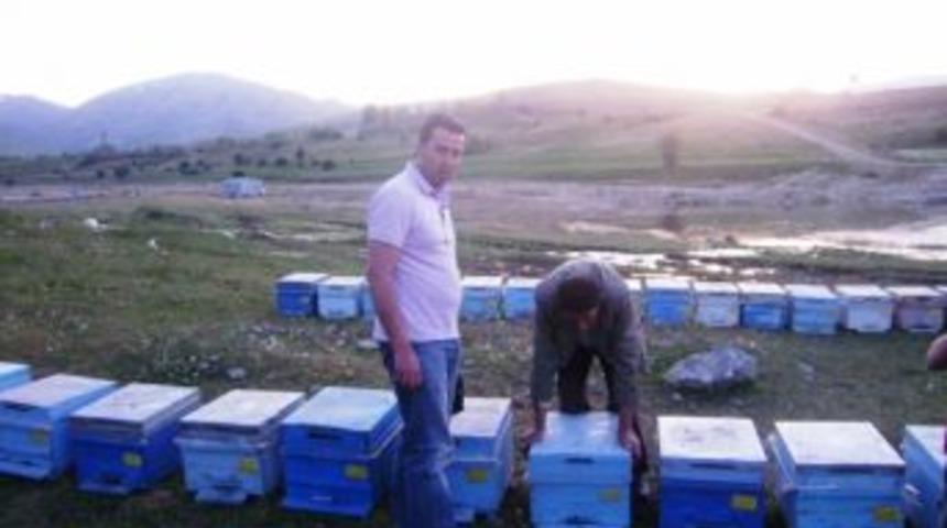 Arılarda Kışlatma &Ccedil;alışmaları Başladı