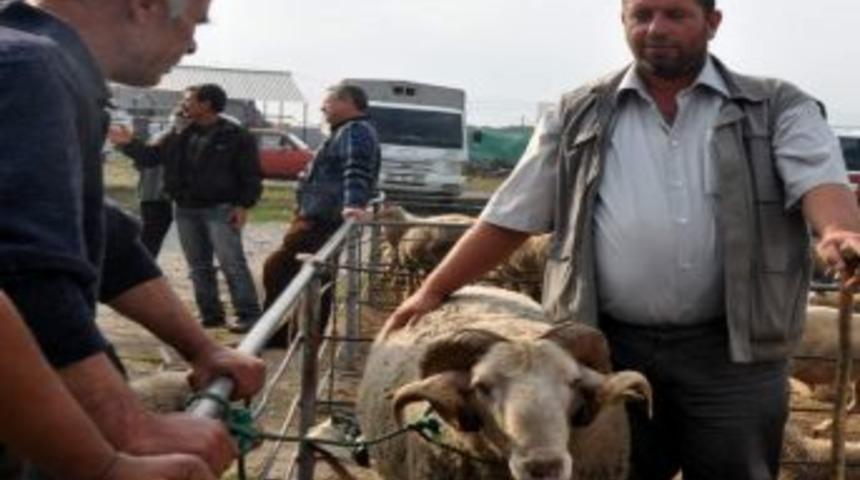 G&ouml;nen Hayvan Pazarında Bayram Hareketliliği Başladı