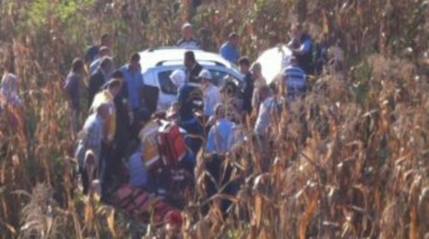 Otomobil Mısır Tarlasına U&ccedil;tu: 1 Yaralı