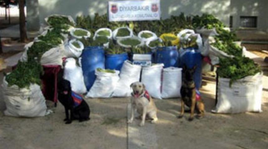 PKK'ya uyuşturucu darbesi