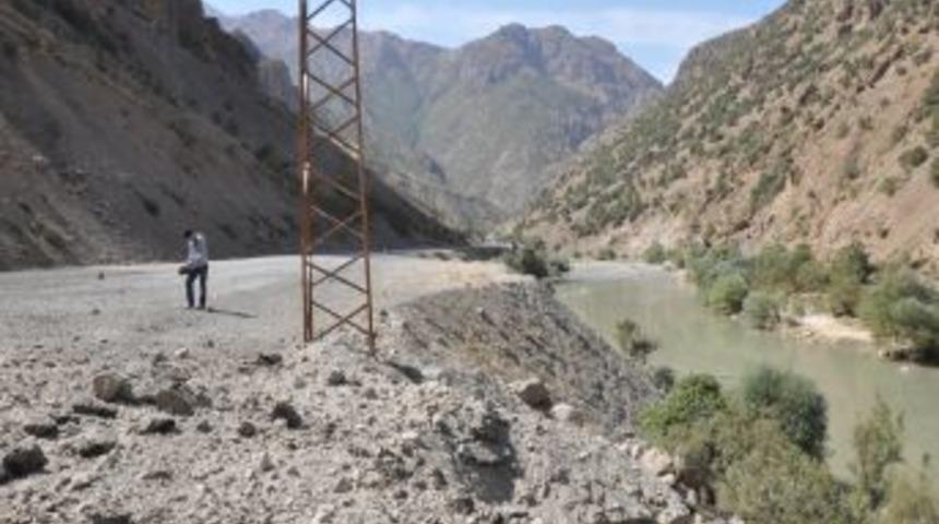 Kirpi, Hakkari'de Faciayı &Ouml;nledi