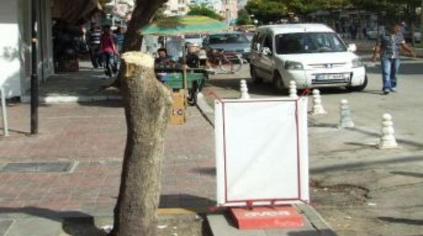 Ağa&ccedil; Kesen Esnaf Enc&uuml;mene Havale Edildi