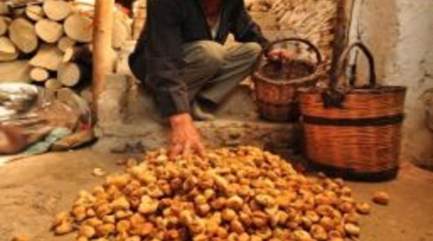 Birgi Konulu Fotoğraf Yarışmasında &Ouml;d&uuml;ller Sahiplerini Buldu