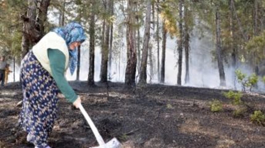 Orman Yangınına K&ouml;yl&uuml; Kadınlar M&uuml;dahale Etti