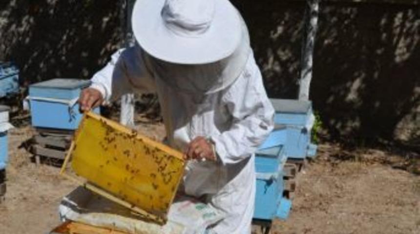 Sarıkayalı Arıcılar, Arılarını Kışlık Bakıma Aldı