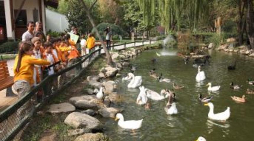 &Ccedil;ocuklara Hayvan Sevgisi Aşılanıyor