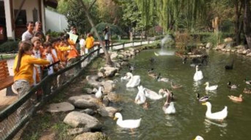 &Ccedil;ocuklara Hayvan Sevgisi Aşılanıyor