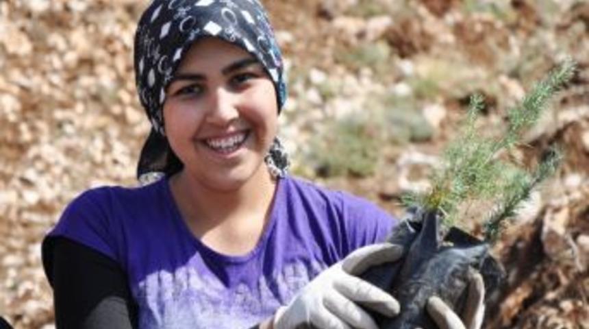 Ağa&ccedil;landırma Şampiyonu Mersin Rekora Gidiyor