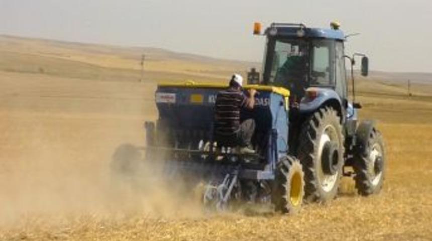 Kulu&rsquo;da Anıza Ekimin İlk Denemesi Yapıldı