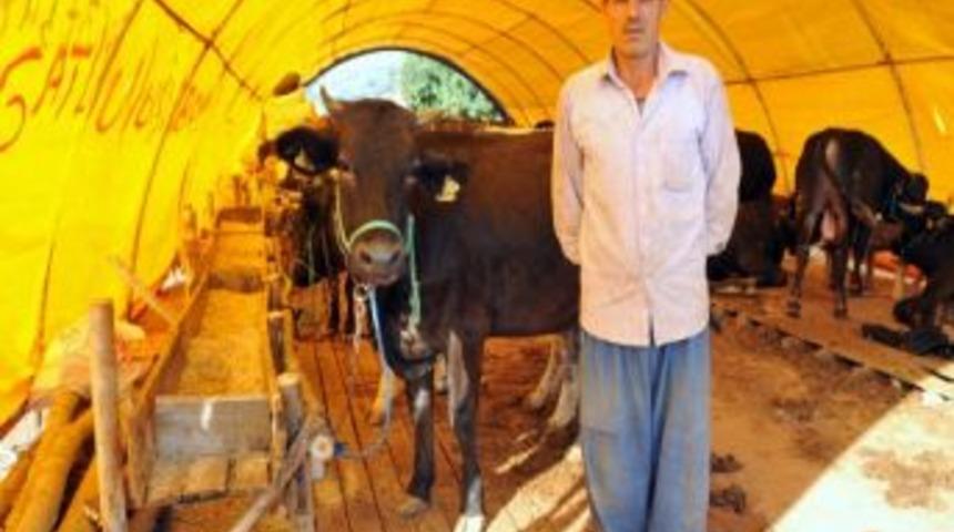 Kepez&rsquo;de Kurban Satış Pazarı Kuruldu