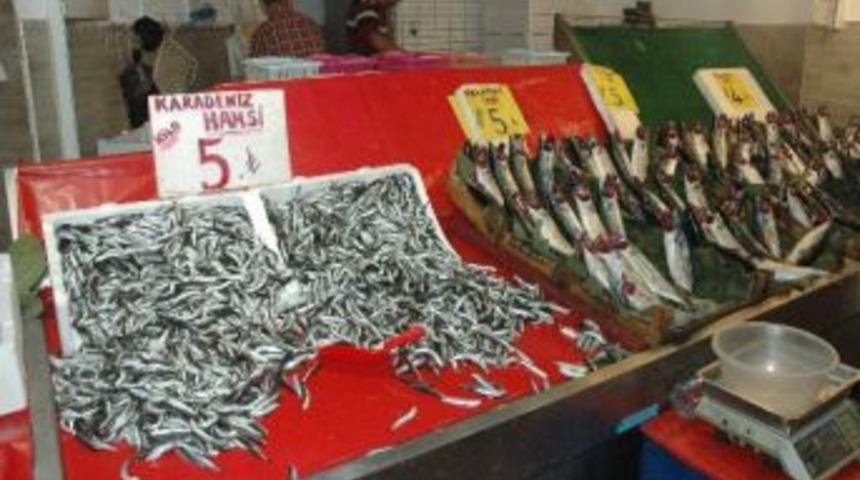 Balık Satışları Patladı