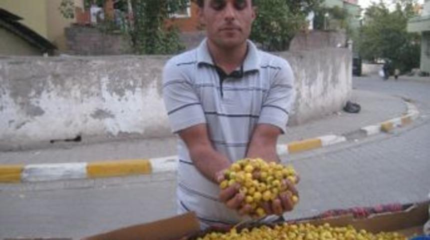 Kış Mevsiminin Habercisi Alı&ccedil; Tezgahta Yerini Aldı