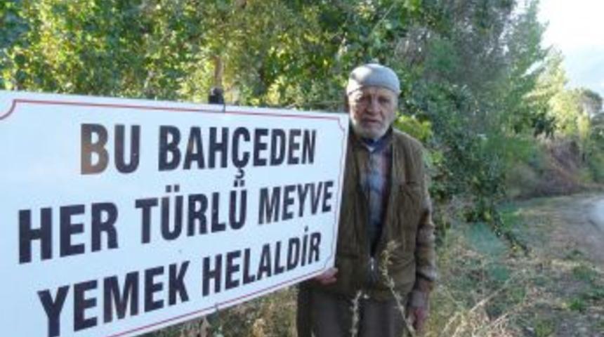 Meyve Bah&ccedil;esini Halkın Hizmetine A&ccedil;tı