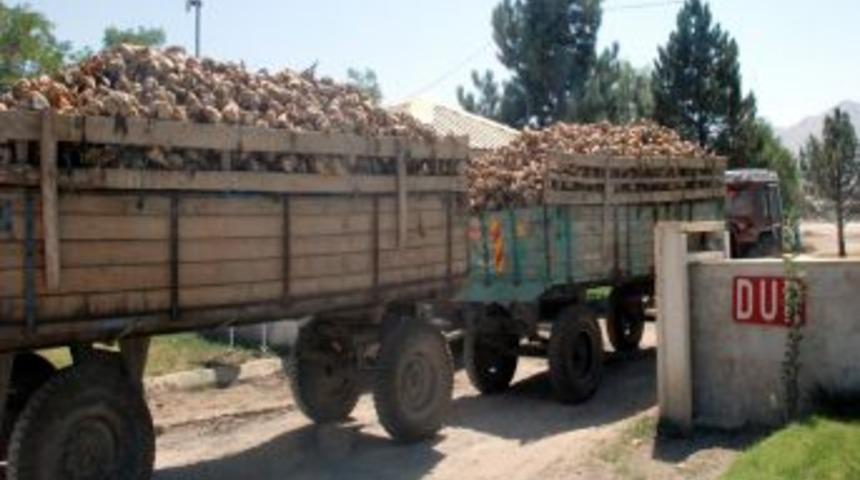 Jandarmadan Pancar Taşıyıcılarına Uyarı