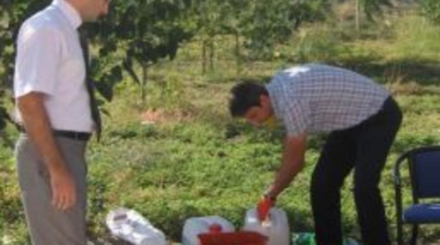 Havran'da &Uuml;reticiye &lsquo;zeytin Sineği&rsquo; Uyarısı