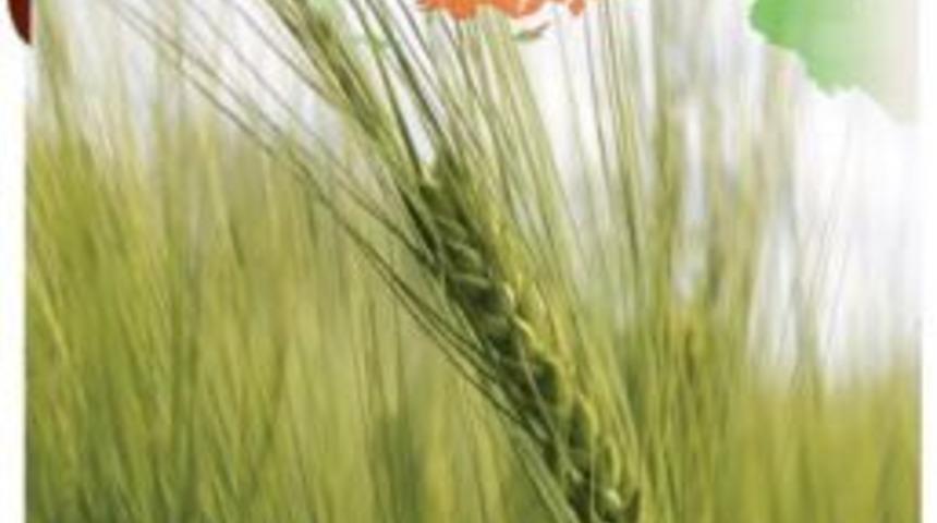 Samsun Tarım Hayvancılık Ve Gıda Teknolojileri Fuarı A&ccedil;ılıyor