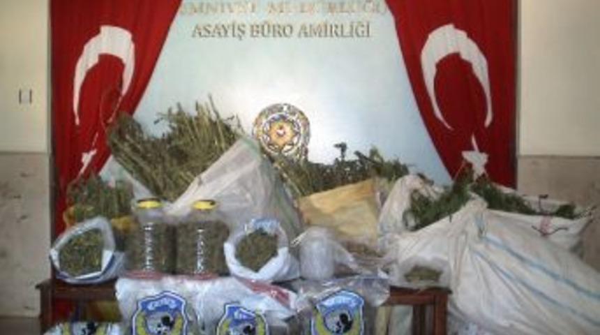 Fatsa'da Uyuşturucu Operasyonu