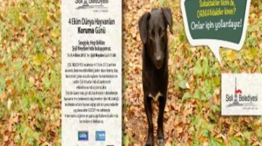 Şişli'de 4 Ekim D&uuml;nya Hayvanları Koruma G&uuml;n&uuml; Etkinliği
