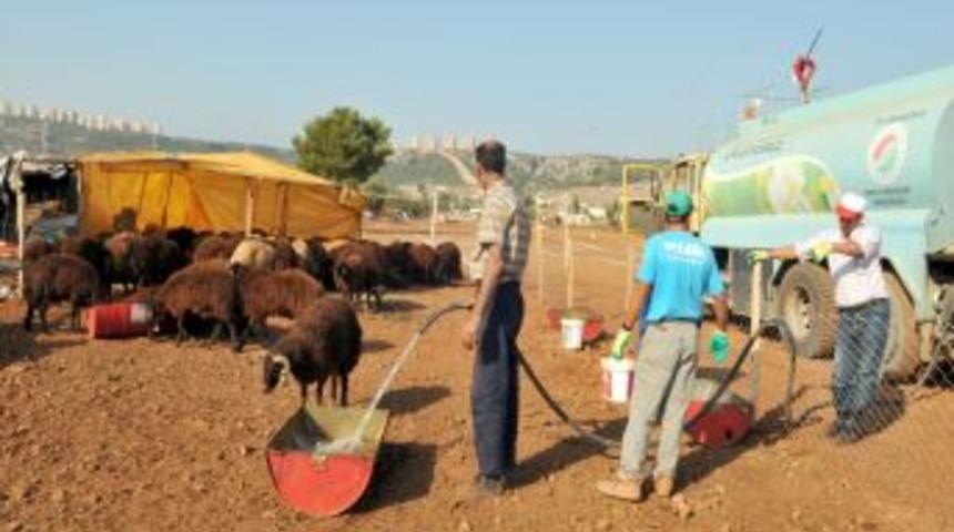 Kepez Varsak'a Belediyeden Kurban Satış Pazarı