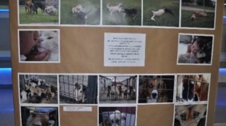 'sokaktaki Vicdanımız' Sergilendi