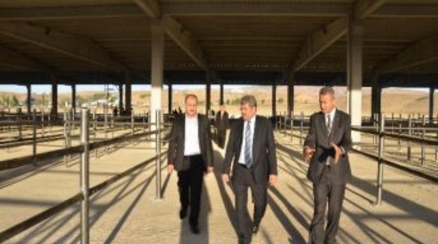 Kırıkkale Canlı Hayvan Merkezi Haline Gelecek