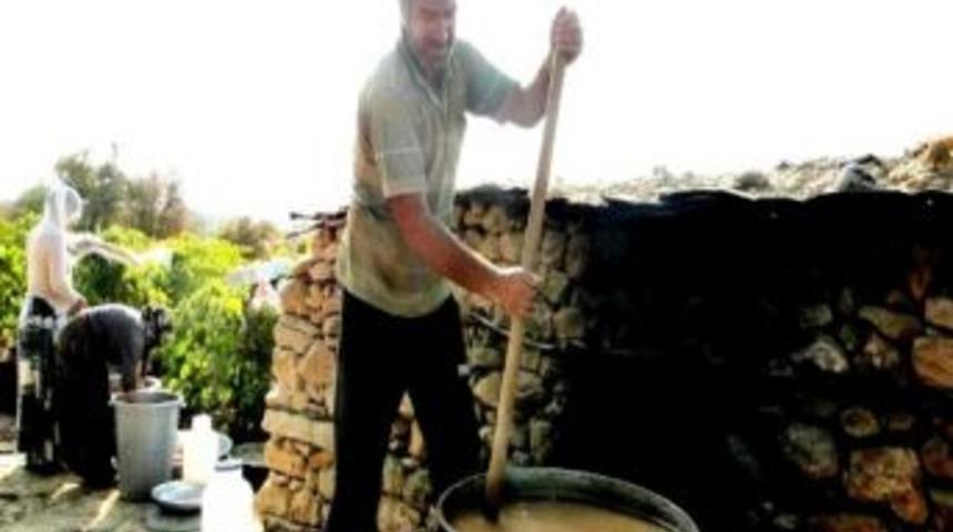 Bağ Bozumunda Kış Hazırlığı