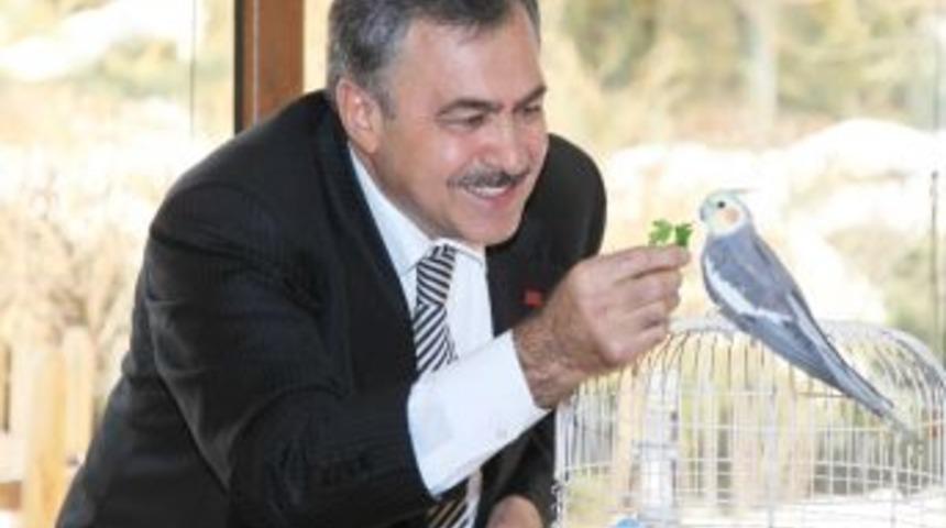 Bakan Eroğlu&rsquo;ndan 4 Ekim D&uuml;nya Hayvanları Koruma G&uuml;n&uuml; Mesajı