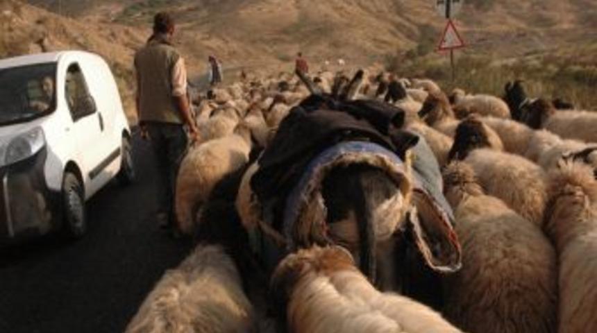 Şırnak Ve &Ccedil;evresindeki Yaylalarda Konaklayan G&ouml;&ccedil;erler Geri D&ouml;n&uuml;yor