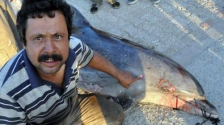 Yunus Balığını Av T&uuml;feğiyle Vurdular