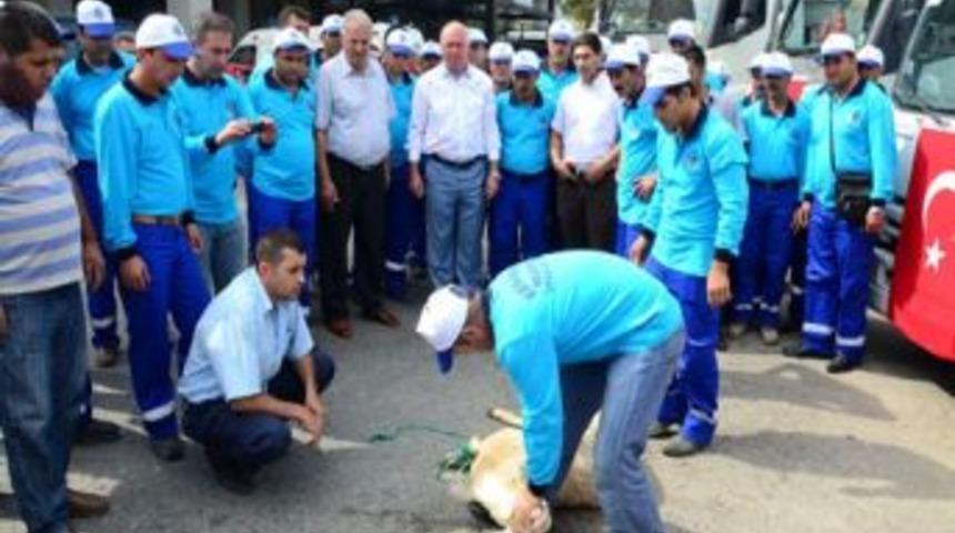 Kemalpaşa Belediyesi'nden Temizlik İşlerine 2 &Ccedil;&ouml;p Kamyonu Daha
