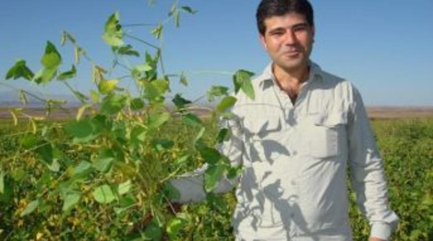 Gap&rsquo;ta Soya Bereketi