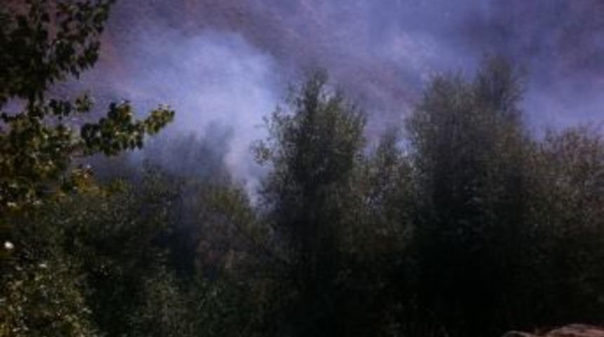 Bitlis&rsquo;te Orman Yangını