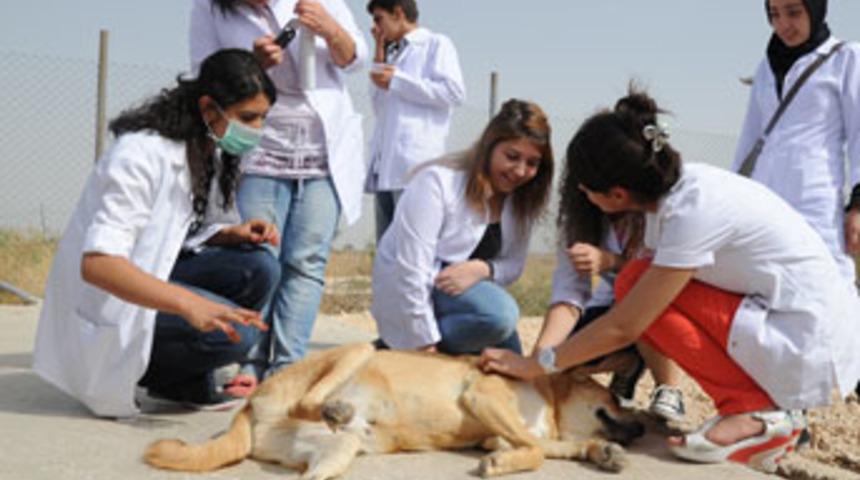 Diyarbakır Bakımevi sevgi evi oldu