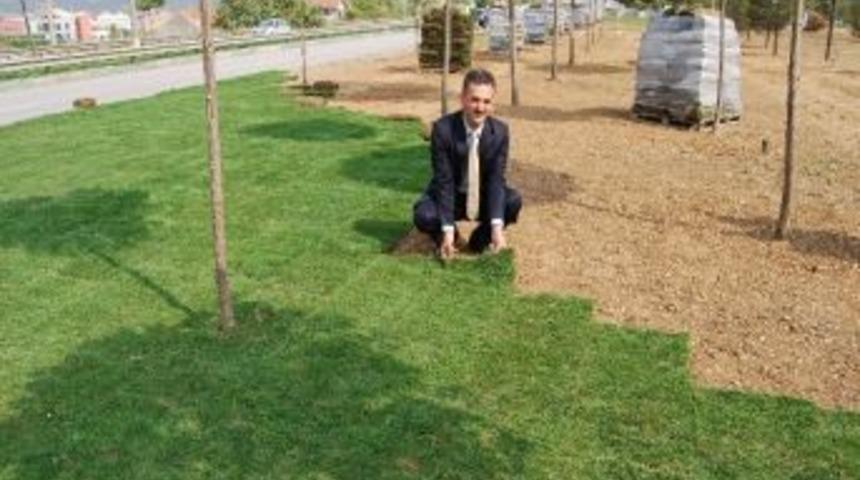 Gemlik Belediyesi&rsquo;nin Kent Estetiği Hamlesi S&uuml;r&uuml;yor