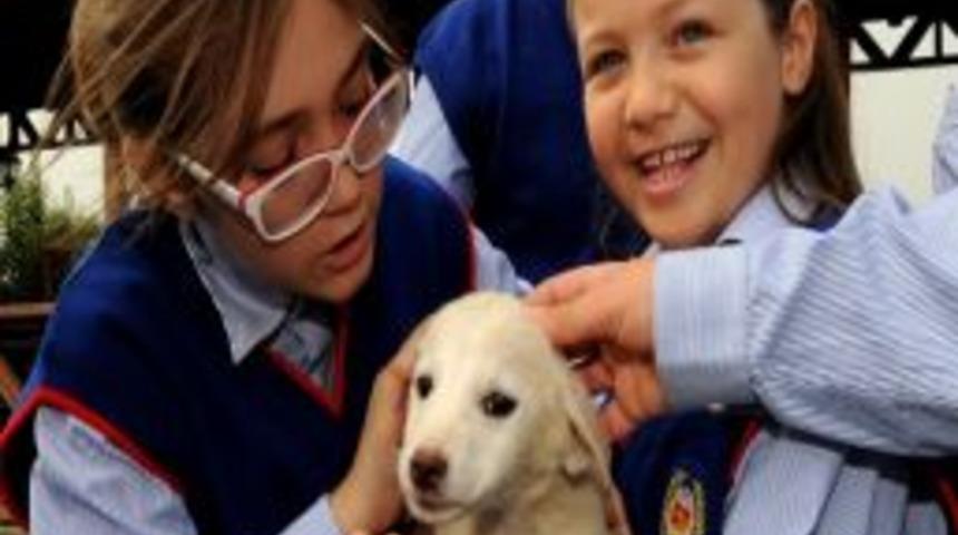 Minik Hayvan Dostlarından En Anlamlı Hediye