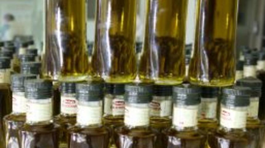 Zeytinyağı Sekt&ouml;r&uuml;nde Hasat &Ouml;ncesi 'DİR' Tartışması