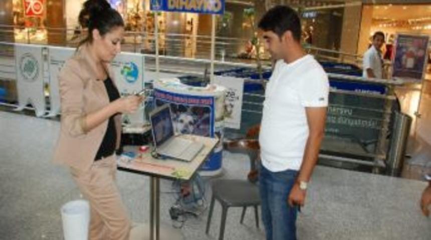 Diyarbakır&rsquo;da D&uuml;nya Hayvanları Koruma G&uuml;n&uuml; Etkinlikleri