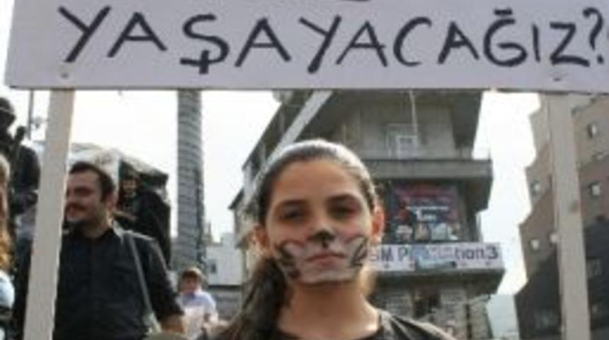 Hayvanseverlerden Koruma Yasası Tepkisi