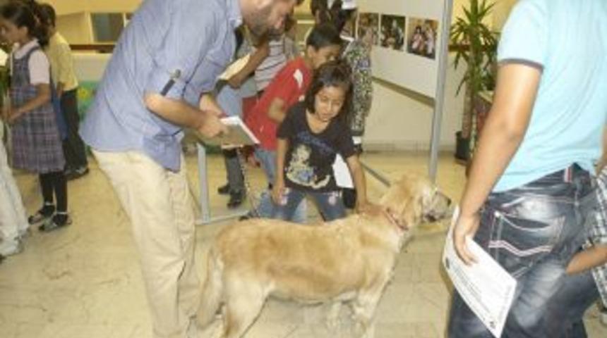 Yıldırım Belediyesi'nden Sahipsiz Hayvanlar I&ccedil;in Tedavi Merkezi