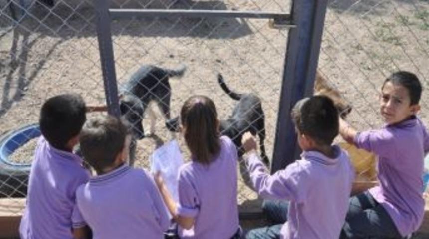 Aksaray'da D&uuml;nya Hayvan Hakları G&uuml;n&uuml; Etkinlikleri
