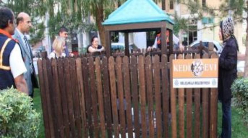 Sel&ccedil;uklu&rsquo;da Kediler De Ev Sahibi Oldu