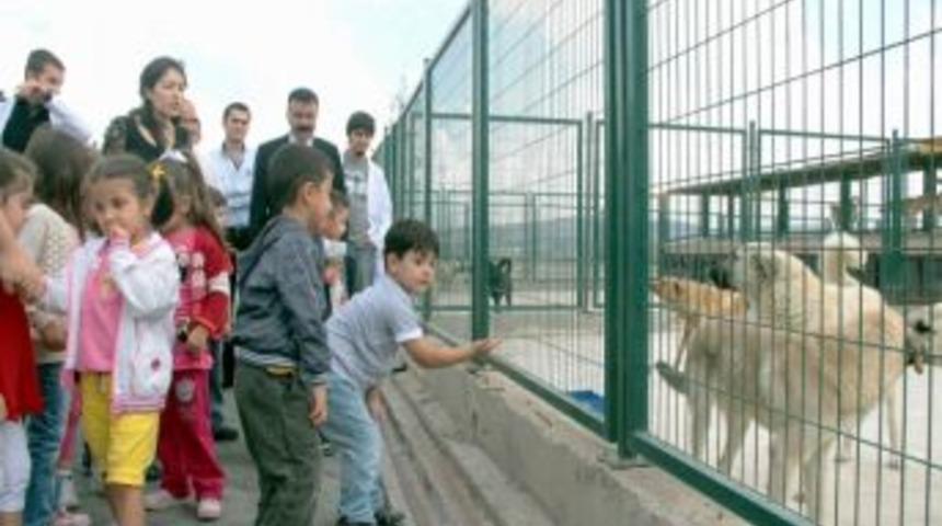 &Ouml;ğrencilerden Hayvan Barınağına Ziyaret