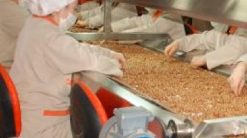 İlk Ayda 35 Bin 828 Ton Fındık İhra&ccedil; Edildi